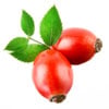 Rosehip Oil