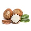 Shea Butter (Butyrospermum Parkii)